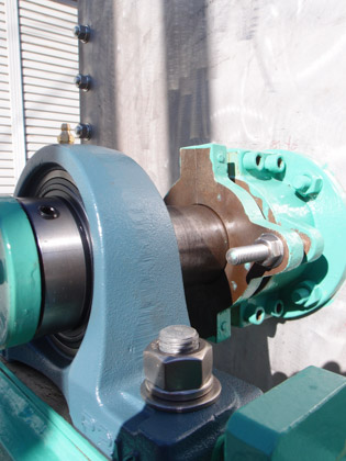 リボン<br>ブレンダー