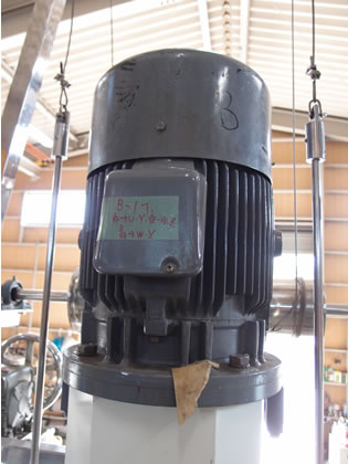 T･K<br>ホモミキサー<br>SUS<br>撹拌槽