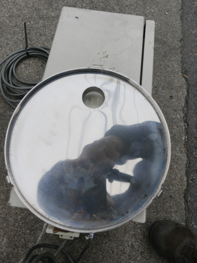 マスコロイダー