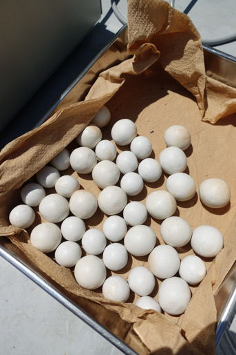 卓上ポットミル