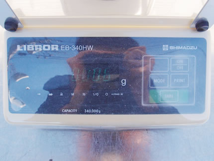 電子<br>てんびん
